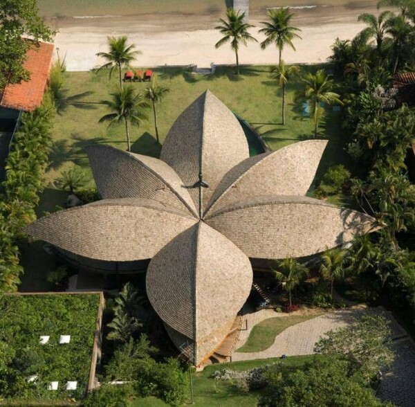 Brazilian Leaf House