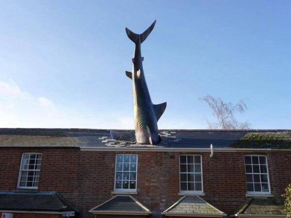 The Headington Shark in Oxford