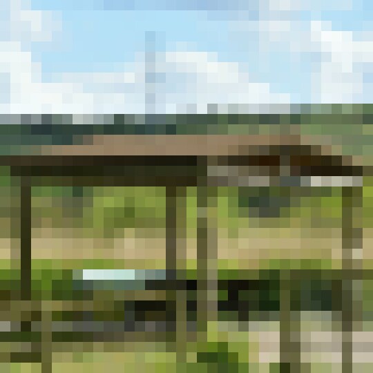 Barley Straw lightweight roof tiles on a Shelter